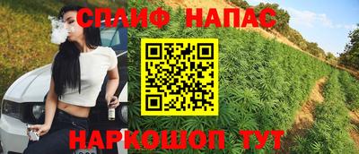 гашик Янаул
