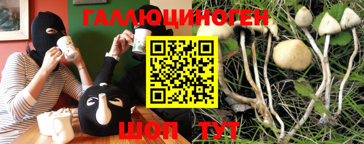 Псилоцибиновые грибы GOLDEN TEACHER Менделеевск