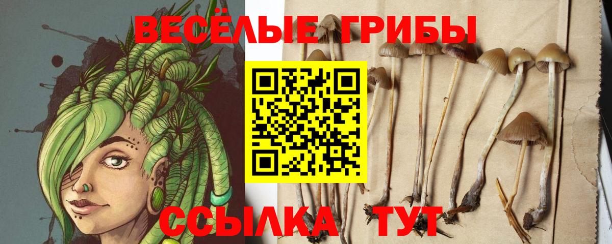 Менделеевск  Псилоцибиновые грибы ЛСД  Вход с VPN  Галлюциногенные грибы GOLDEN TEACHER 